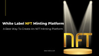 White Label NFT Minting Platform - Create Your Own NFT Minting Platform instantly