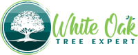 White Oak Tree Expert – Professional Tree Removal & Pruning in Glen Burnie, MD