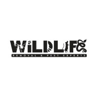 Wildlife Removal and Pest Experts