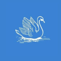 Swan Pros LLC