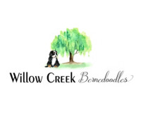 Willow Creek Bernedoodles