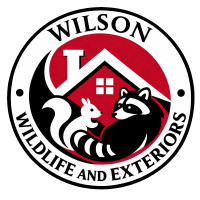 Wilson Wildlife & Exteriors