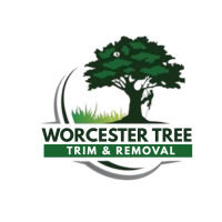 Worcester Tree Trim and Removal
