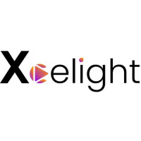 Xcelight - AI CCTV Video Feed Analytics