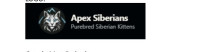 Apex Siberians