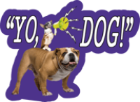 Yo, Dog! Mobile Grooming Club, LLC