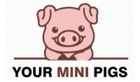 Your Mini Pigs