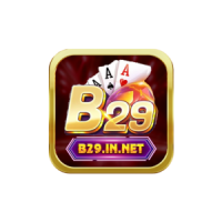 B29 Club