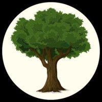 Yucaipa Tree Services