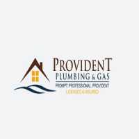Provident Plumbing LLC