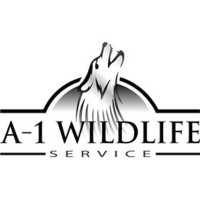 A-1 Wildlife SErvice