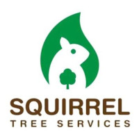 SQUIRREL MASTER TREE SERVICES LLC