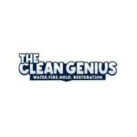 The Clean Genius