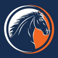 Bloodstock Auction