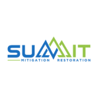 Summit Mitigation Restoration