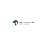 Adelaide Arborist