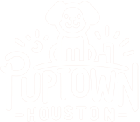 Puptown Houston Dog Training