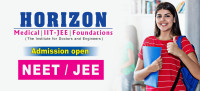 Affordable Brilliance at Horizon Academy