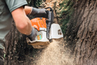 Tree Service Eagan