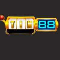 TIN88