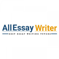 All Essay Writer