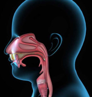 Vasectomy Doctors Queens