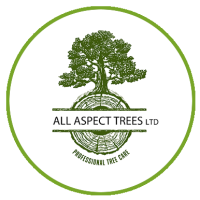 All Aspect Trees Ltd