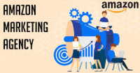 Top amazon marketing agency USA | Boost Your Brand with AMZ Dudes