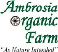 Ambrosia Organic Farm