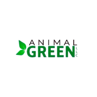 Eco-Friendly Cat Litter Solutions