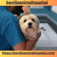 Beville Animal Hospital