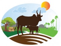 Annam Milk - Milk Delivery In Chennai