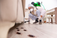 Envirotreat | Pest control service in Rockville MD