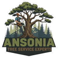 Ansonia Tree Service Experts