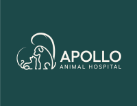 Professional Veterinary Services in Surrey – Apollo Animal Hospital