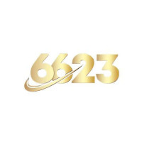 link6623vnnet