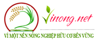 Vinong Đức Bình