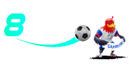 8Day 8Day