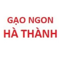 Gạo ngon ST25