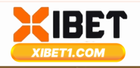 Nhà Đài XIBET