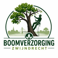 Boomverzorging Zwijndrecht
