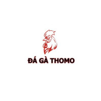 Đá Gà Trực Tiếp Thomo Campuchia 09/11/2023