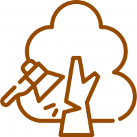 Stuart FL Tree Service
