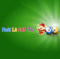Nuôi lô khung 247