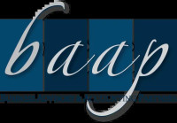 Business Advisory Services in Clearwater Florida by Business Advisory and Accounting Partners, FL