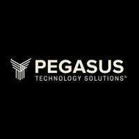 Pegasus Technology Solutions