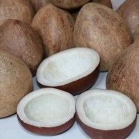 Ball Copra India Orgin