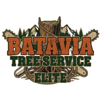 Batavia Tree Service Elite
