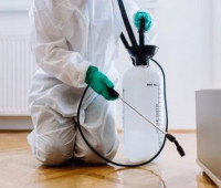 Rodent Control Hobart