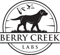 Berry Creek Labs